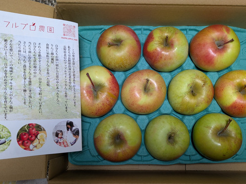 【家庭用】ぐんま名月 約2.5kg 7-14玉 甘くてジューシーな希少りんご  11月以降発送予定 #NAM0B025