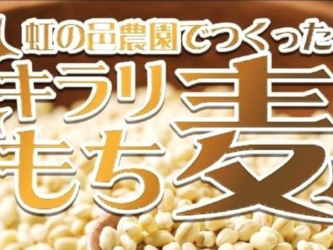 栽培期間中農薬不使用　もち麦　キラリモチ 5キロ❗️ 栽培期間中農薬不使用 もち麦 キラリモチ 5キロ❗️ 兵庫育ちの もち
