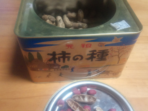 乾燥生落花生（油豆）在来種　300g　【おまけで試し焼き用100g増量❗】