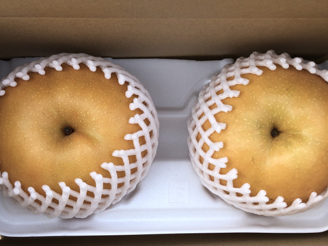 梨の王様！シャキッとみずみずしい新高2玉(1.5〜2kg)：福岡県産の新