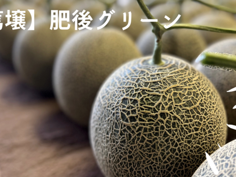 【金の土】肥後グリーン！熊本県産糖度16度超えメロン（2Lサイズ１個)【篤壌シリーズ】