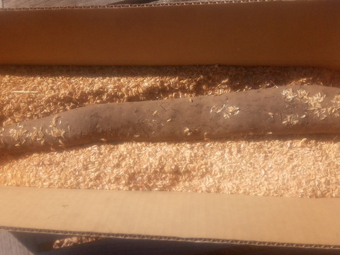 甘〜いナガイモ！約4kg　大〜特大　（4本前後）
※商品説明をご一読の上、「常温便」、「クール便」をご指定下さいませ。