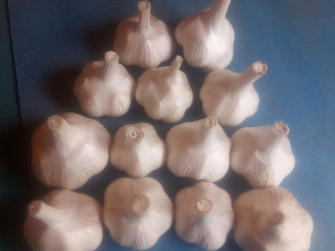 にんにく！ホワイト6片（1kg）