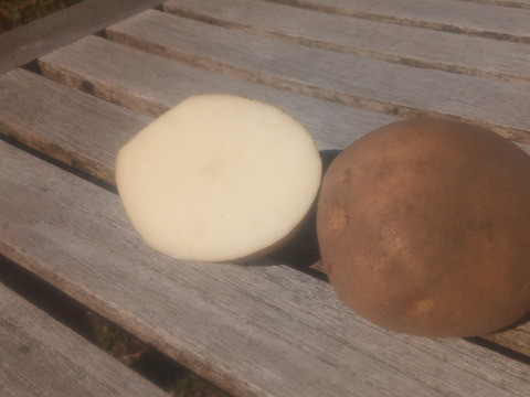 じゃがいも【オホーツクチップ】中〜大きめ
（L〜2L込）60サイズ　内容量1,8kg