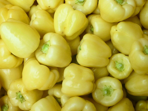 猛暑！☆彡生で美味しい！クリームピーマン30個～農薬/化学肥料・不使用