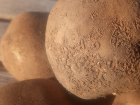 訳有品❗じゃがいも【キタアカリ】大きさ色々60サイズ　内容量1,8kg