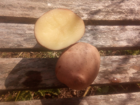 【ちょっと訳あり❗】じゃがいも【さやあかね】　大きさ色々　80サイズ　内容量4,7kg
※商品説明をご一読の上、「常温便」、「クール便」をご指定下さいませ。