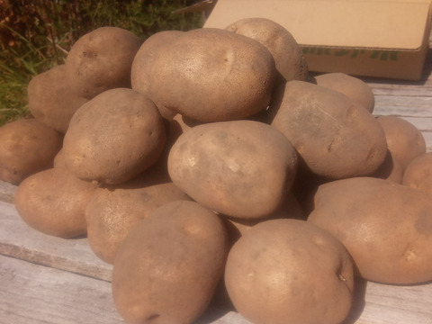 じゃがいも【オホーツクチップ】中〜大きめ
（L〜2L込）80サイズ　内容量4,7kg