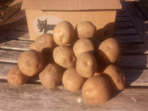 じゃがいも【キタアカリ】中〜小さめ
（M〜S込み）60サイズ　内容量1,8kg