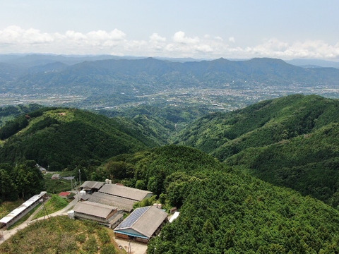 【お歳暮 肉ギフト 2025】黒毛和牛スライス、和歌山県産最高級ブランド熊野牛（霜降りロース250g・赤身モモ250g）食べ比べ、すき焼き、しゃぶしゃぶ用