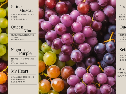 「おまかせ旬ぶどうセット」 — Shine Muscat & Seasonal Grapes —