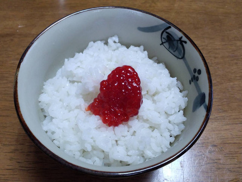 天然秋田のふきのとう約200gと新米秋田こまち約450gのセット販売（世界遺産白神山地付近産）