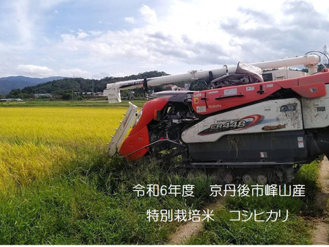【令和6年度産・6袋限定!!】♣️一度食べてみて欲しいお米　麻奈為🌾京都・京丹後峰山産　特別栽培米コシヒカリ５㎏【玄米・白米】