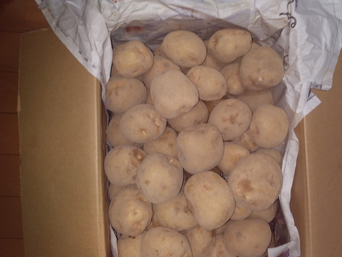 【「ニノさん」にて紹介されたお芋】訳ありじゃがいも　キタアカリ　10㎏