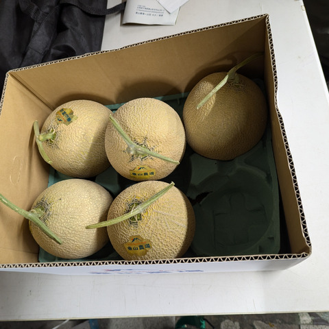 冷蔵便】たっぷり8kg！北海道夕張郡産キングメロン：北海道産の