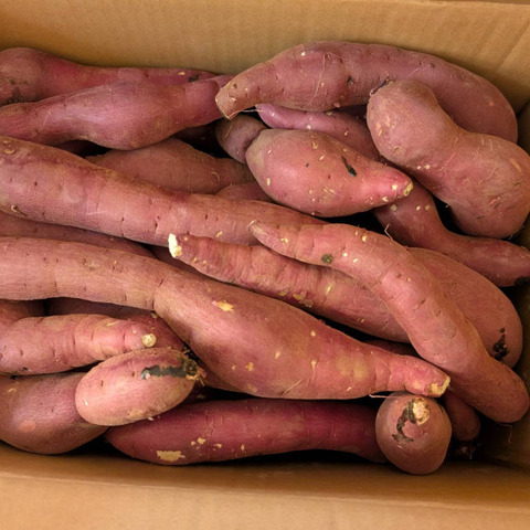 訳あり！熟成紅はるか 20kg さつまいも：茨城県産のべにはるか｜食べ