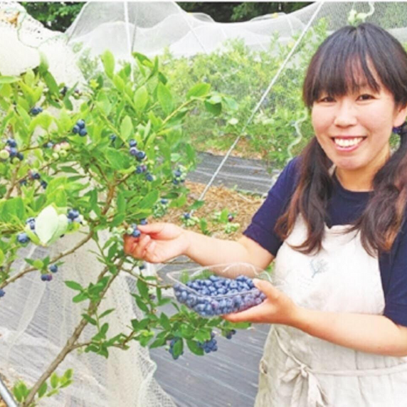 女化ブルーベリーの森