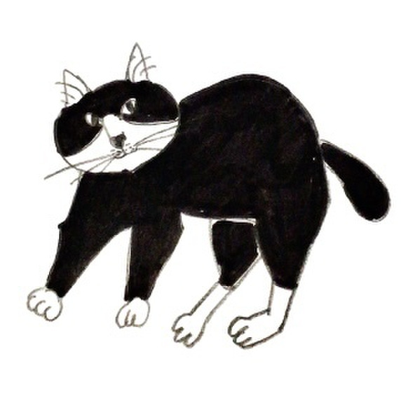 スズキねこ農園