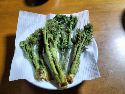 スナップエンドウの野菜セット（4種類以上）