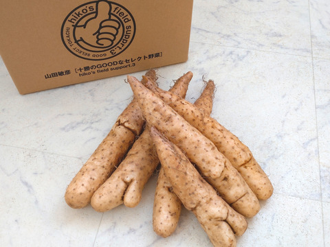 正規品売り切れの為
【⚠️規格外】小さなナガイモ4.5kg販売します★物価高騰､生活応援価格‼️