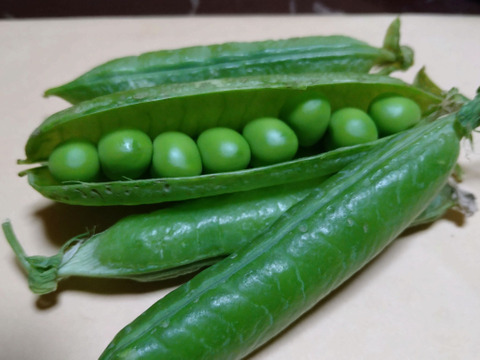 【まもなく終了】大人気!甘くて柔らかい『えんどう豆』1kg【漢方栽培】