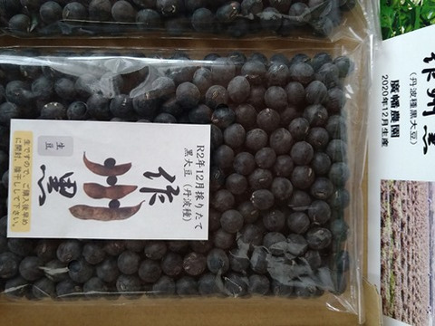 お正月煮豆用の高級品種黒大豆「作州黒」（丹波種）500g箱。令和2年12月初旬の採れたてをお届け！