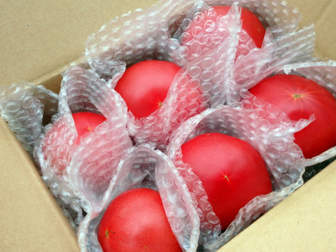採れたて直送☆嘉麻市産☆桃太郎トマト１．５ｋｇ