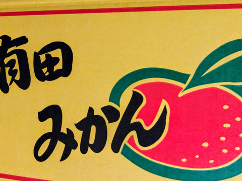 大玉１０Kg【和歌山　有田みかん】旬の美味しいみかん　たっぷり！！