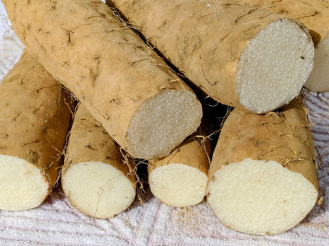 最終販売セール❣️【⚠️訳あり】カット長芋4.5kg★物価高騰､生活応援価格‼️