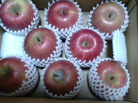 【販売中！人気商品】青森県産りんご「サンふじ」家庭用 キズ有 約3kg 【美味・光センサー選果済】