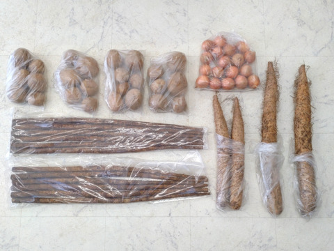 【中サイズ長芋１kg】★組み合わせ自由なセット★(中サイズ長芋.じゃがいも.ごぼう)１kg単位でお好きな量‼️