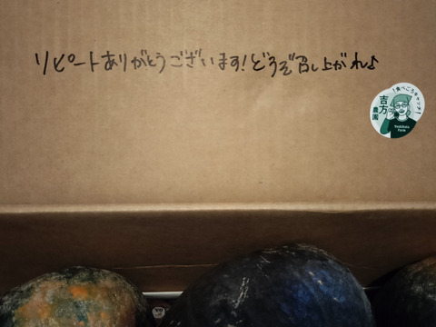 【ワケアリ】北海道産甘くてホクホクな南瓜　１０キロ