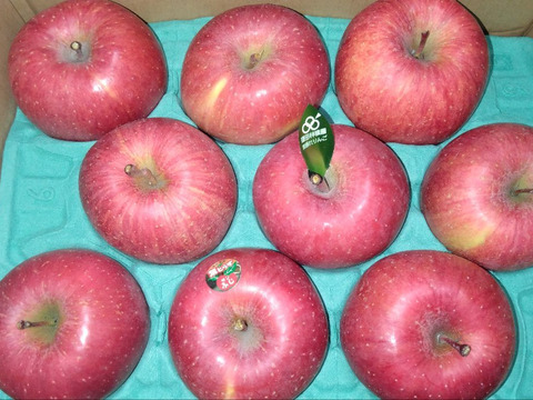 個性派りんご🍎葉隠れサンふじ  冬ギフトにもどうぞ（9個～12個）3キロ箱使用