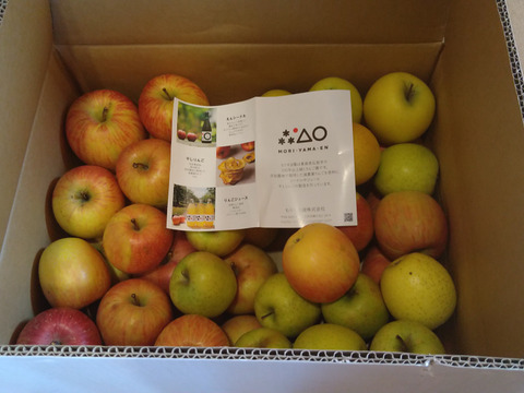 【完売御礼】スムージーやお菓子作りにたっぷり10kg🍎加工用りんご 農薬50%減・化学肥料不使用✨青森県特別栽培認証