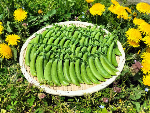 ブロッコリー（脇芽カット)/750gとスナップエンドウ/700gのセット