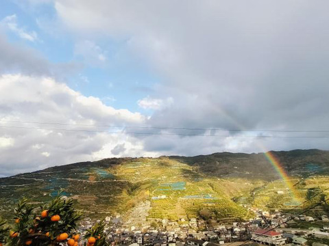 みかん満喫ギフト（みかんジュース2本＆ゼリー4個）