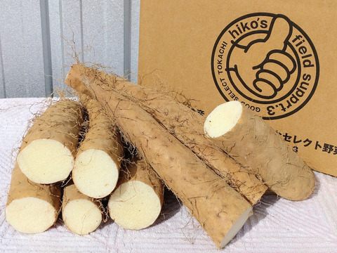 最終販売セール❣️【⚠️訳あり】カット長芋4.5kg★物価高騰､生活応援価格‼️
