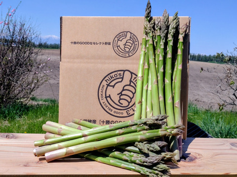 今が旬❣️北海道産アスパラ1kg(サイズいろいろ・ご家庭用)