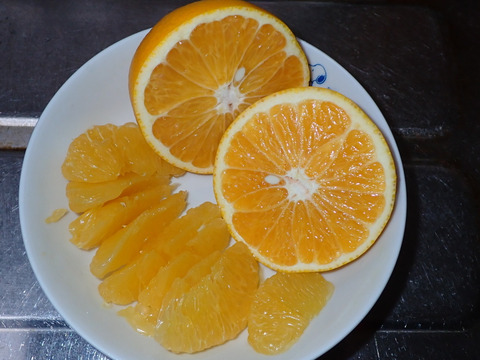 紀の川　八朔　小玉Sサイズ５kg（箱込み）格安！　おいしさは一緒！