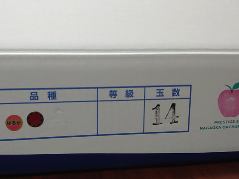 【岩手・紫波町】🍎🍏特別栽培「サンふじ」「はるか」の詰め合わせ（家庭用5kg・14～16玉）