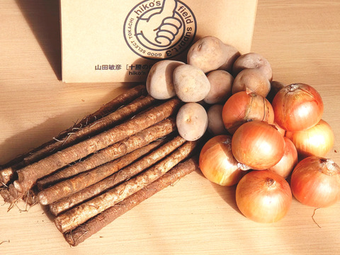 【ごぼう☆とうや☆タマネギ】5kg❣北海道十勝3種食べ比べセット🥔🧅