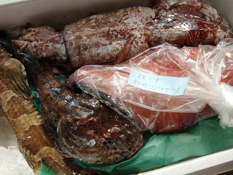 ☆YouTubeで紹介☆ へんな魚ボックス【4月発送再開】魚種指定不可、お届け日指定不可の商品です