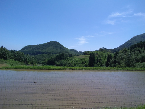 天日干し/自然栽培米〈ヒノヒカリ〉大分県産 2kg