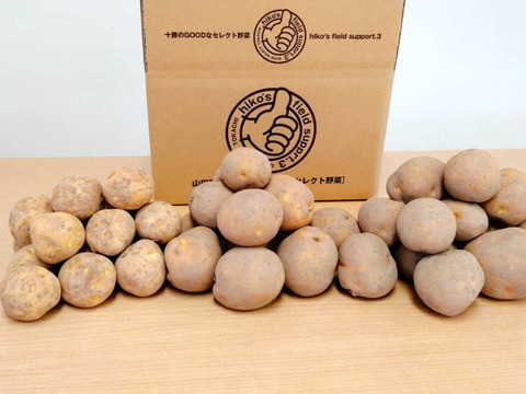 本日収穫 新じゃが とうや サイズ不選別 じゃがいも 茨城県産 25kg ✨新じゃが、熟じゃが、新旧じゃがいも🥔【とうや】食べ比べ