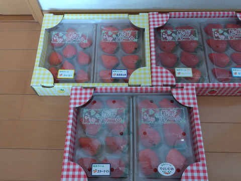 令和4年度 農林水産大臣賞受賞！お家でいちご狩り気分♪いちご最大6品種（3品種以上保障）食べ比べセット計6パック（約230 g × 6パック　計約1.4 ㎏）【いちご食べ比べ】