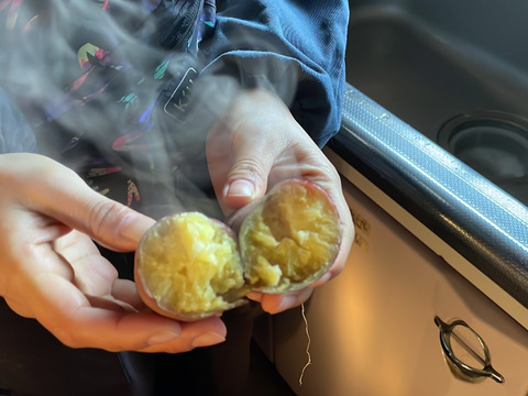 自然の恵みを活かした極上の甘さ！さつまいも紅はるか 2kg M〜2Lサイズ混合【茨城県産 農薬化学肥料不使用】