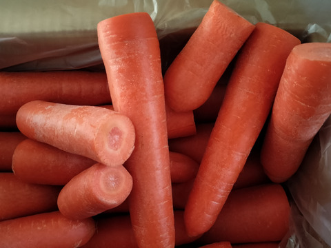 【冬のわけありにんじん】クリスティーヌ「9.0kg」【お買い得にんじん】