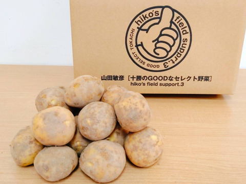 本日収穫 新じゃが とうや サイズ不選別 じゃがいも 茨城県産 25kg 本日収穫 新じゃが とうや サイズ不選別 じゃがいも 茨城県産