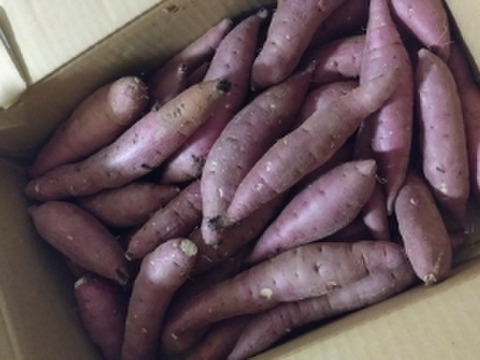 低温熟成保管‼茨城県産紅はるかSサイズ５㎏　さつまいも　サツマイモ