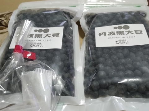 黒大豆の本場 丹波篠山黒豆|新豆【黒豆煮レシピ付き 】